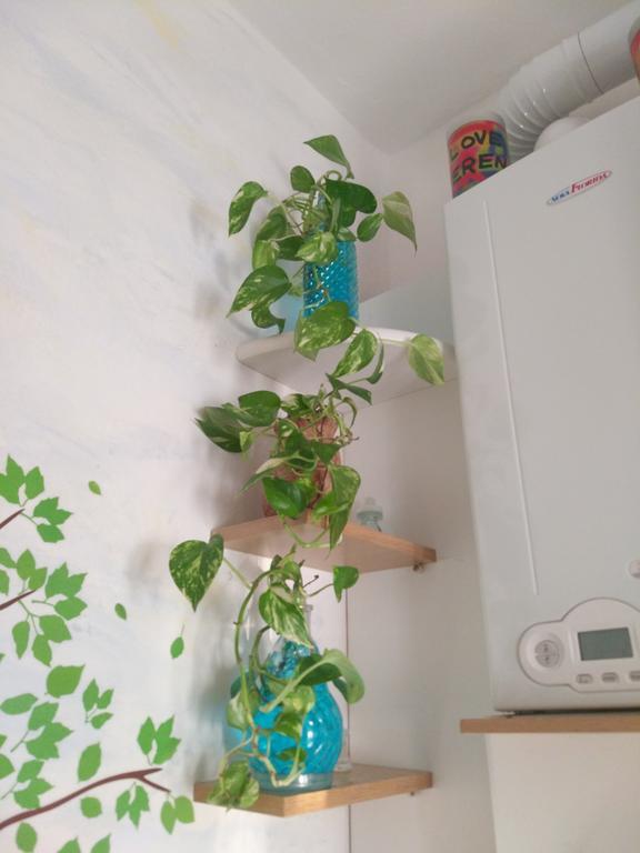 트리에스테 A Casa Di Silvy 빌라 외부 사진